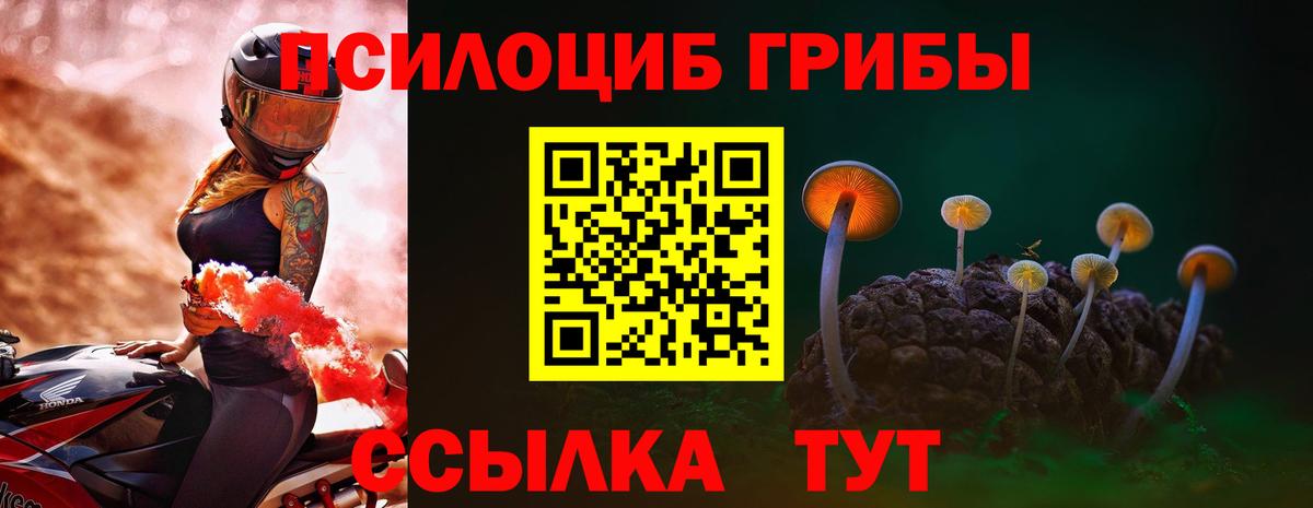 Псилоцибиновые грибы MAGIC MUSHROOMS  Вход с VPN  Галлюциногенные грибы GOLDEN TEACHER  Десногорск 